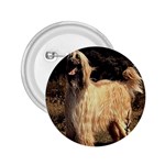 Afghan Hound 2.25  Button