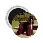 Afghan Hound Black 2.25  Magnet