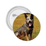 Australian Cattle Dog 2.25  Button