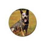 Australian Cattle Dog Rubber Round Coaster (4 pack)