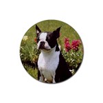 Boston Terrier Rubber Round Coaster (4 pack)