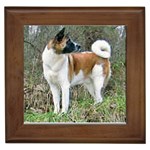 Akita Framed Tile