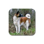 Akita Rubber Square Coaster (4 pack)