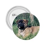 Akita Puppy 2.25  Button