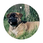 Akita Puppy Ornament (Round)