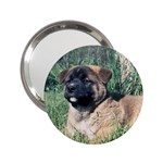 Akita Puppy 2.25  Handbag Mirror