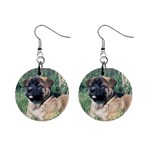 Akita Puppy 1  Button Earrings