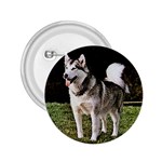 Alaskan Malamute 2.25  Button