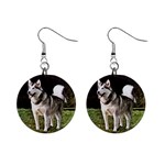 Alaskan Malamute 1  Button Earrings