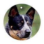 Australian Cattle Dog Ornament (Round)