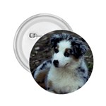 Australian Shepherd Puppy 2.25  Button