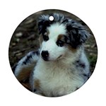 Australian Shepherd Puppy Ornament (Round)