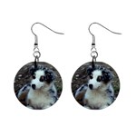 Australian Shepherd Puppy 1  Button Earrings