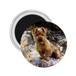 Australian Terrier 2.25  Magnet