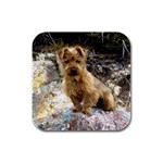 Australian Terrier Rubber Square Coaster (4 pack)