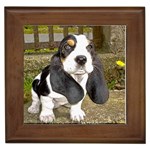 Basset Hound Framed Tile