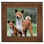 Basenji Framed Tile