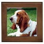 Basset Hound Framed Tile