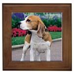 Beagle Framed Tile