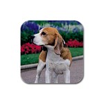 Beagle Rubber Square Coaster (4 pack)