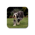 Bearded Collie Rubber Square Coaster (4 pack)