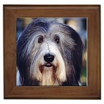 Bearded Collie Framed Tile