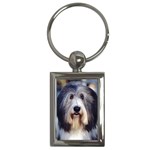 Bearded Collie Key Chain (Rectangle)