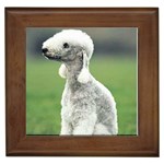 Bedlington Terrier Framed Tile