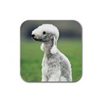 Bedlington Terrier Rubber Square Coaster (4 pack)