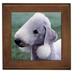 Bedlington Terrier Framed Tile