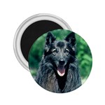 Belgian Sheepdog 2.25  Magnet