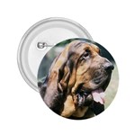 Bloodhound 2.25  Button