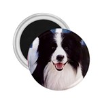 Border Collie 2.25  Magnet