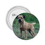 Border Terrier 2.25  Button