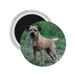 Border Terrier 2.25  Magnet