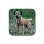 Border Terrier Rubber Square Coaster (4 pack)