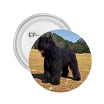 Bouvier des Flandres 2.25  Button