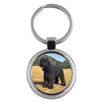 Bouvier des Flandres Key Chain (Round)