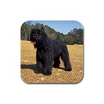 Bouvier des Flandres Rubber Square Coaster (4 pack)