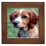 Brittany Framed Tile