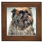 Brussels Griffon Framed Tile