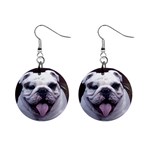 Bulldog 1  Button Earrings