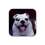 Bulldog Rubber Square Coaster (4 pack)