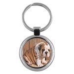 Bulldog Key Chain (Round)