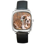 Bulldog Square Metal Watch