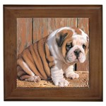 Bulldog Framed Tile