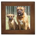 Bullmastiff Framed Tile