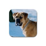 Bullmastiff Rubber Square Coaster (4 pack)