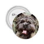 Cairn Terrier 2.25  Button