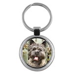 Cairn Terrier Key Chain (Round)